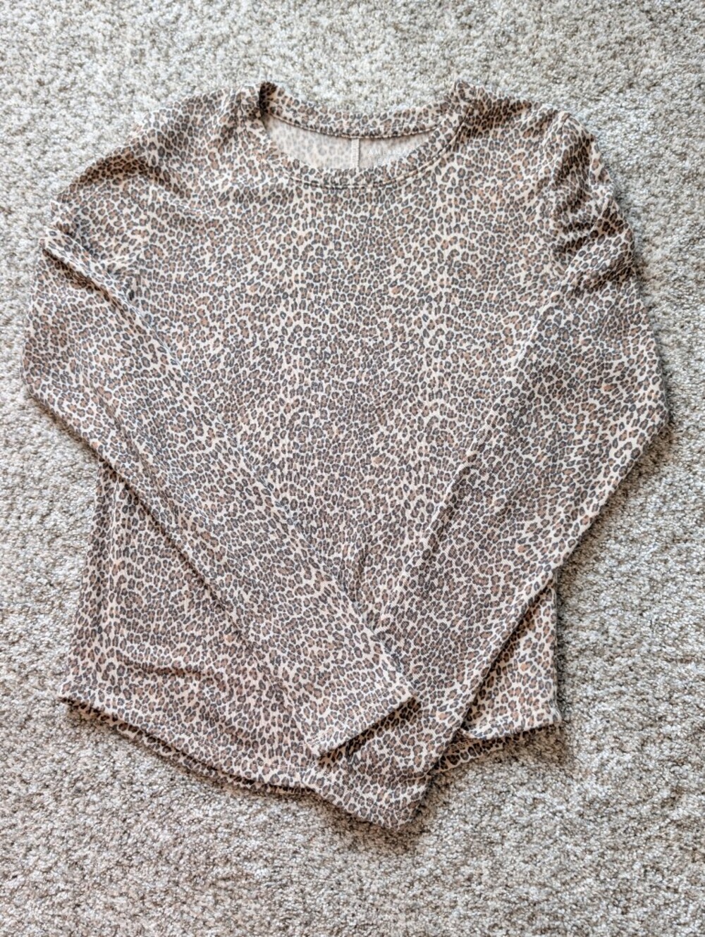 American Eagle Outfitters Leopard Print Super Soft Long Sleeve T-shirt